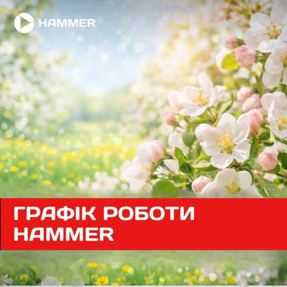 Графік роботи HAMMER